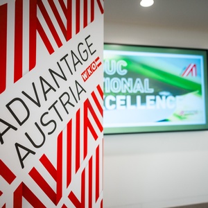 Advantage Austria Poster © David Johansson