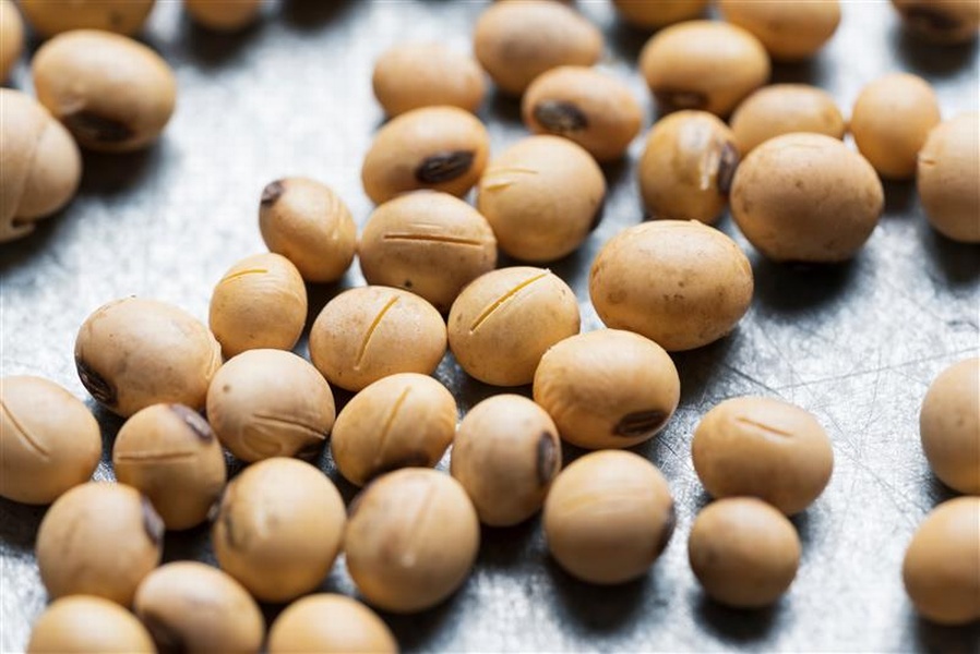 © Matthias Obergruber