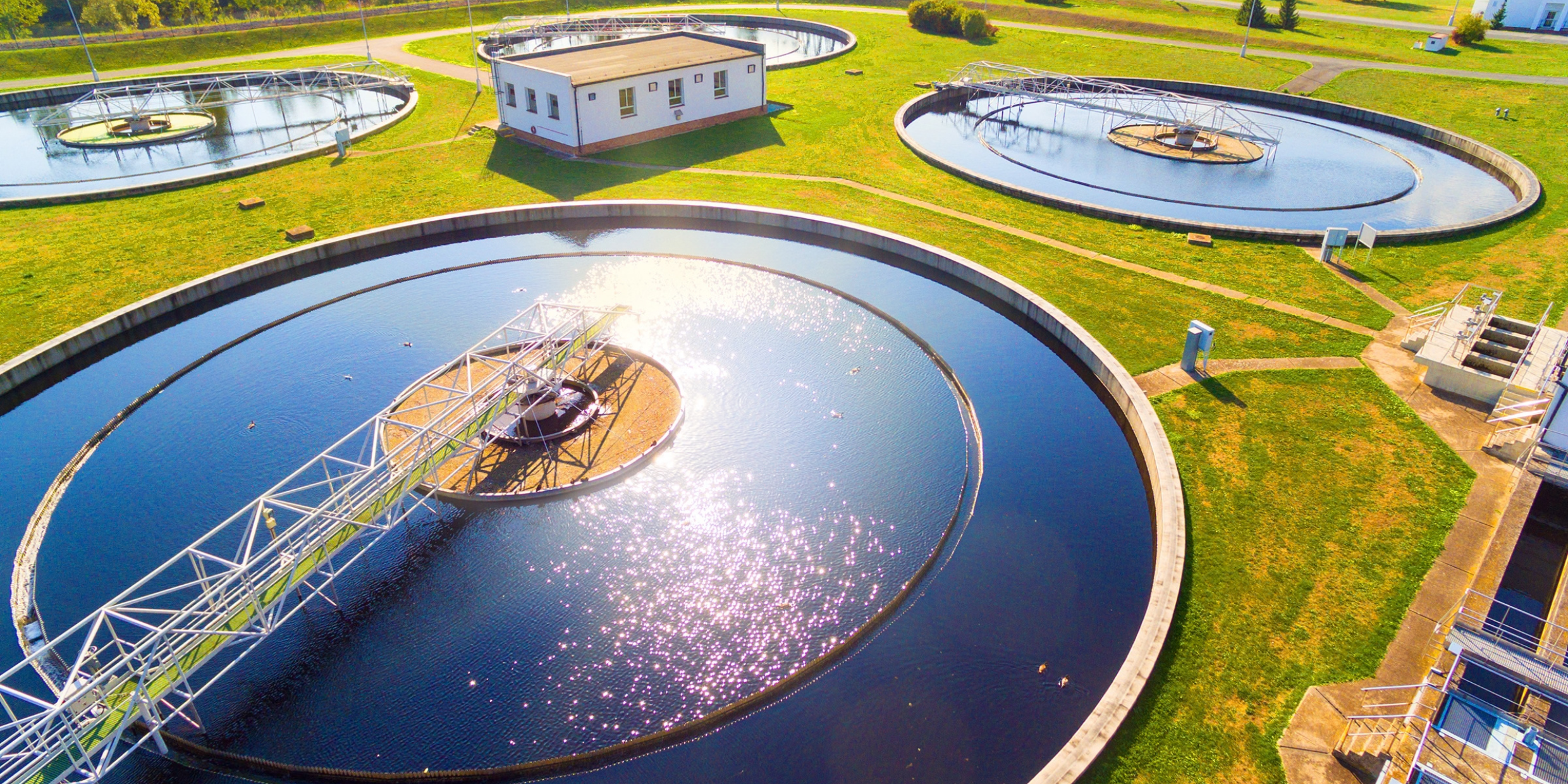 © Kletr | stock.adobe.com