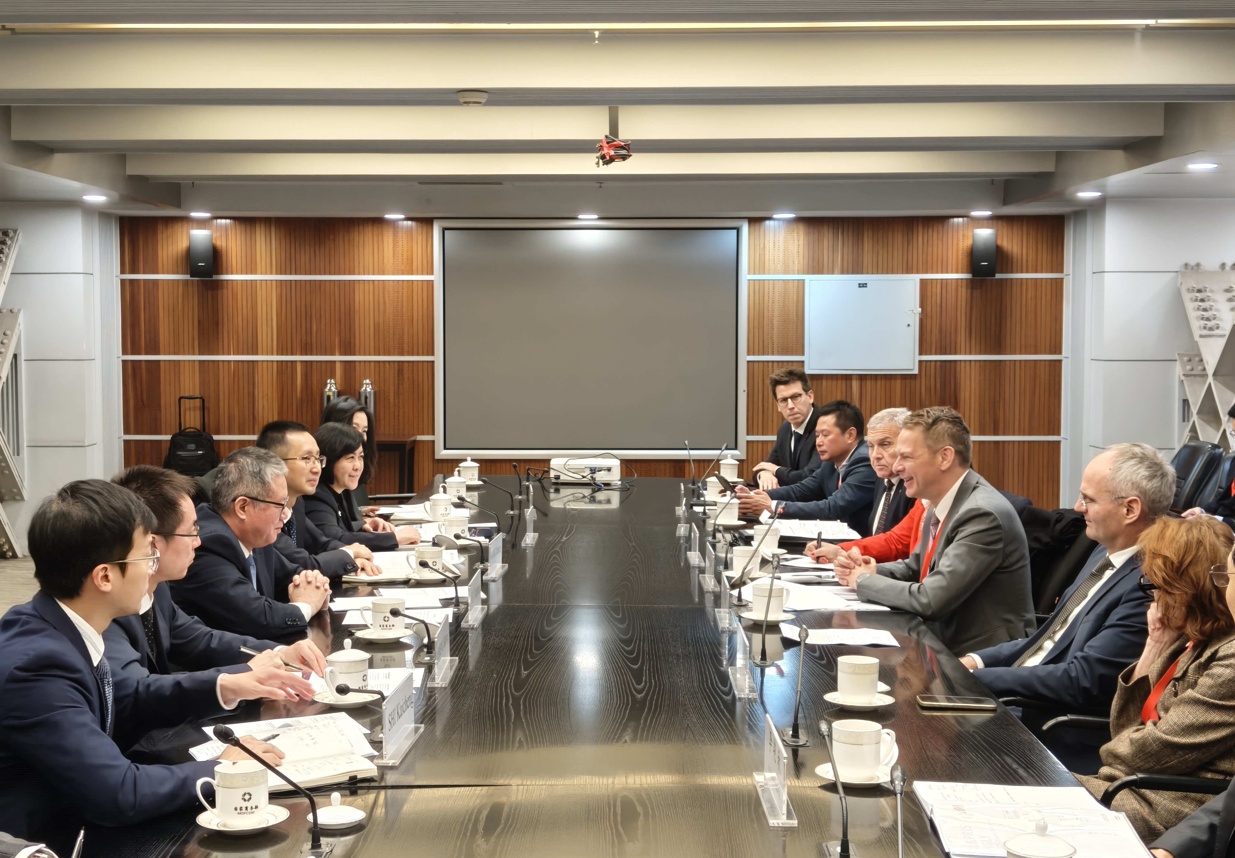 © Cai Zejia, Advantage Austria Beijing