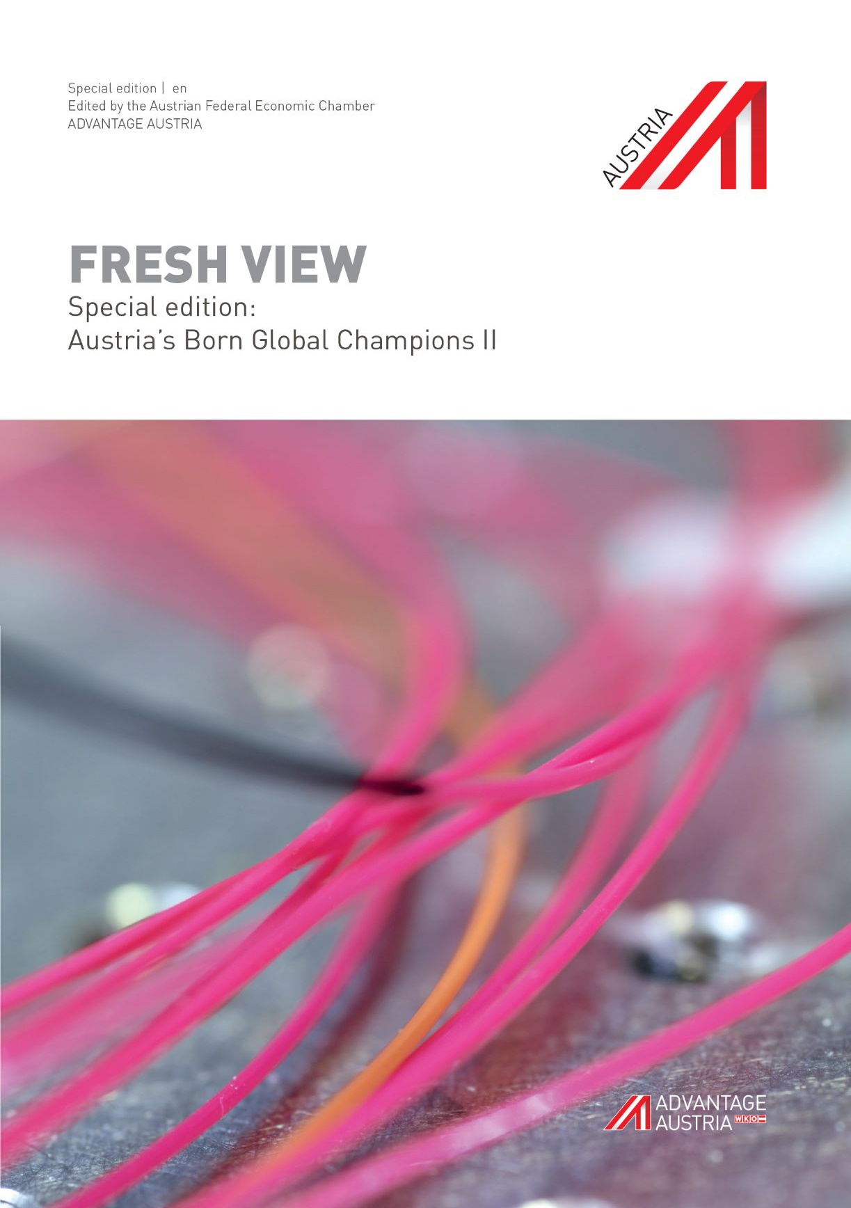 Austria’s Born Global Champions II | en Austria’s Born Global Champions II | en