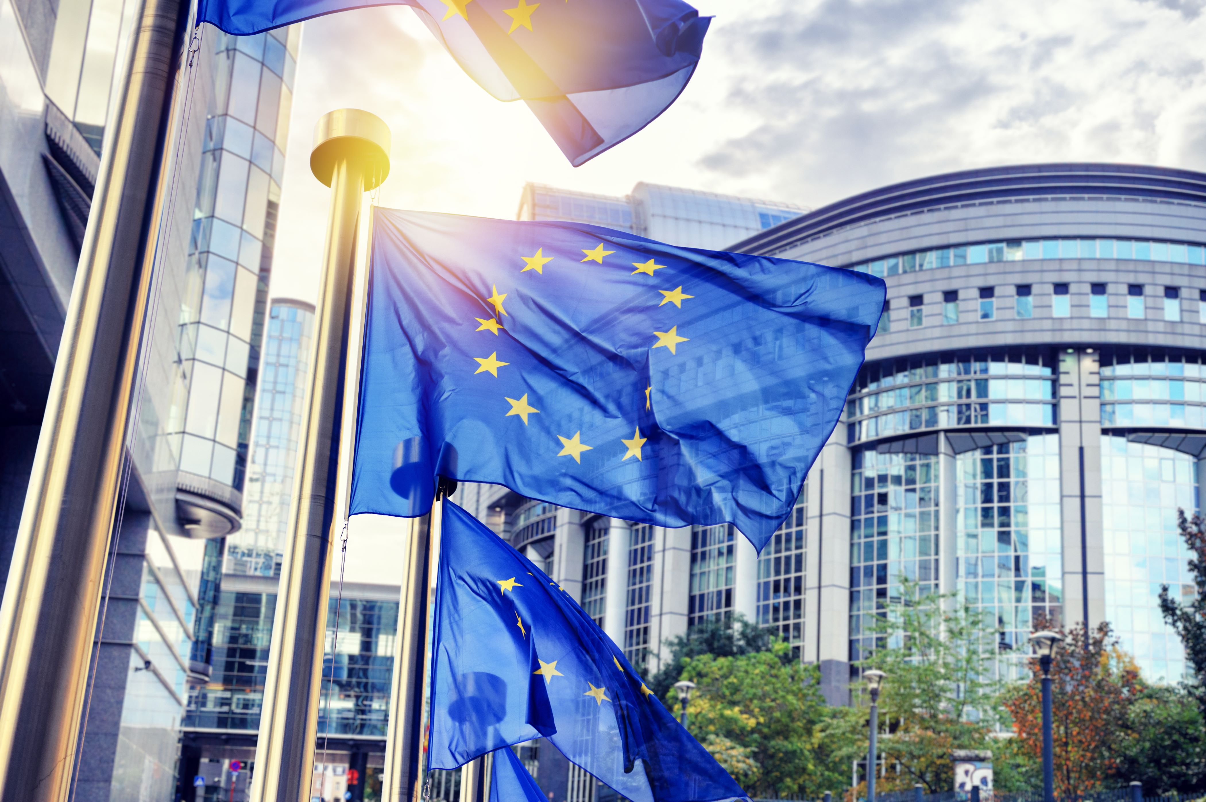 EU Flaggen vor dem Parlament in Brüssel © Grecaud Paul | stock.adobe.com