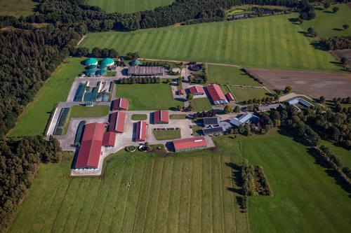 Company premises