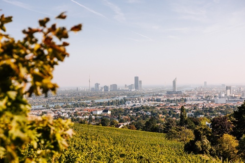 Landschaft
