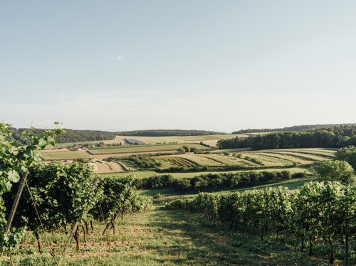 Landschaft