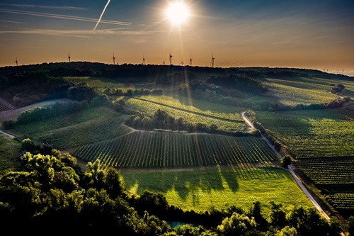 Landschaft