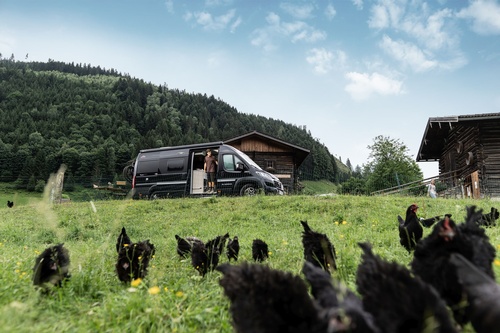 Camping am Bauernhof