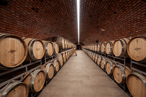 Finca vitivinícola