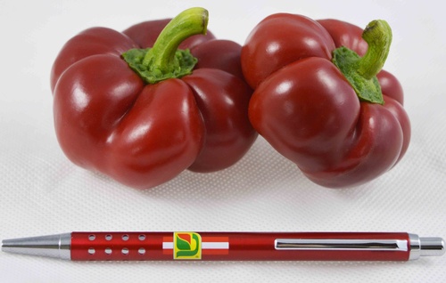 Produtkbild