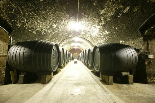 Wine cellar