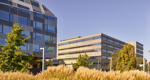 University