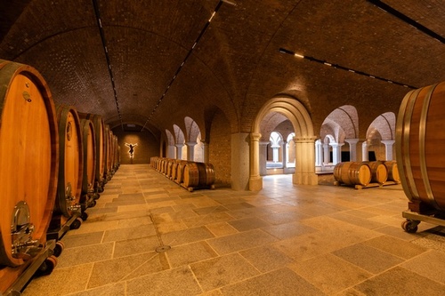 Bodega de vino