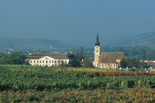 Weinbau