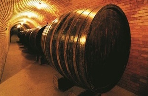 Viticulture