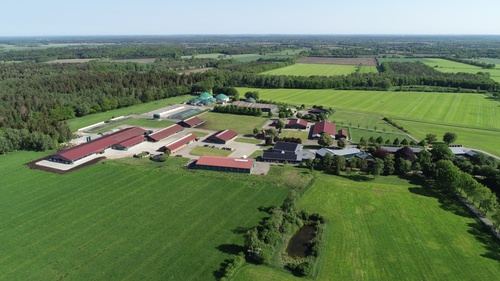 Company building