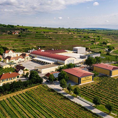 Viticulture